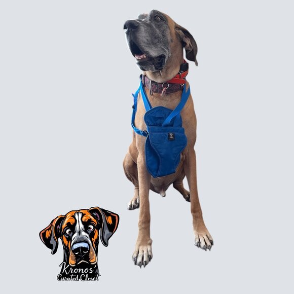 Adventure-Ready Pet Pouch: Cozy Blue Travel Backpack for Small Dogs & Cats! - Picture 1 of 5